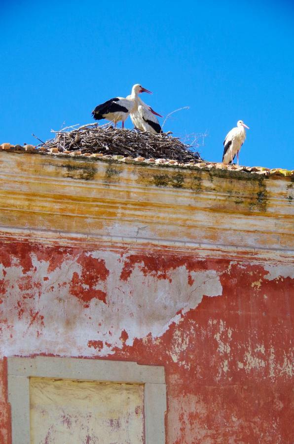 Casa Margarida Azul Villa Silves Bagian luar foto